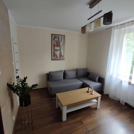 Obok Szczesliwej 7 Apartamento Gliwice Exterior foto
